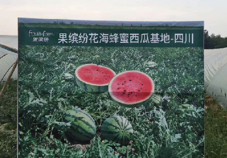水果加盟供应基地